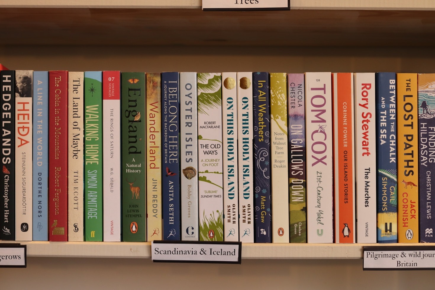 Selbstfindung durch die Geschichten großer Persönlichkeiten